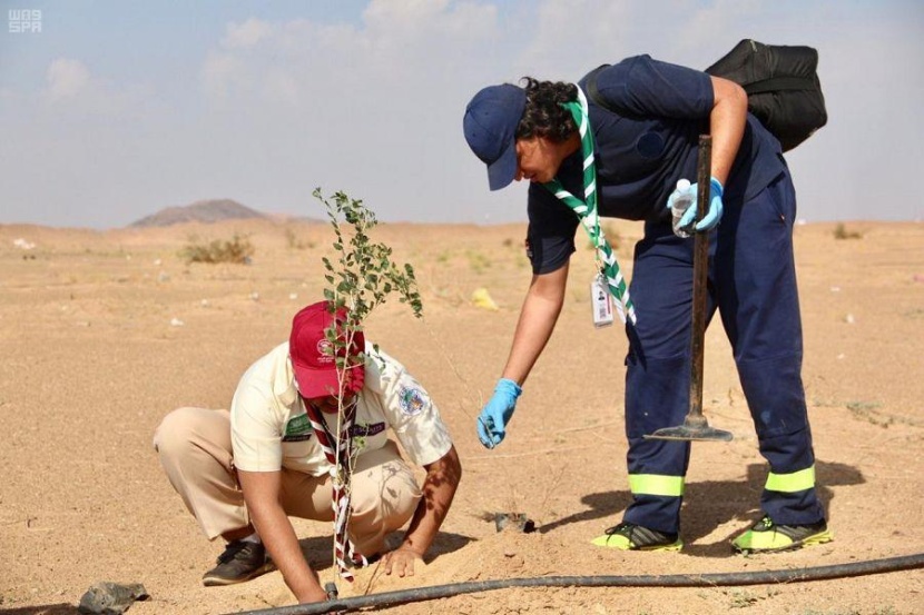120 كشافا يغرسون 5000 شجرة في المنتزه البيئي بالجموم
