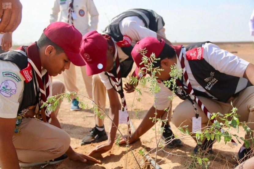 120 كشافا يغرسون 5000 شجرة في المنتزه البيئي بالجموم