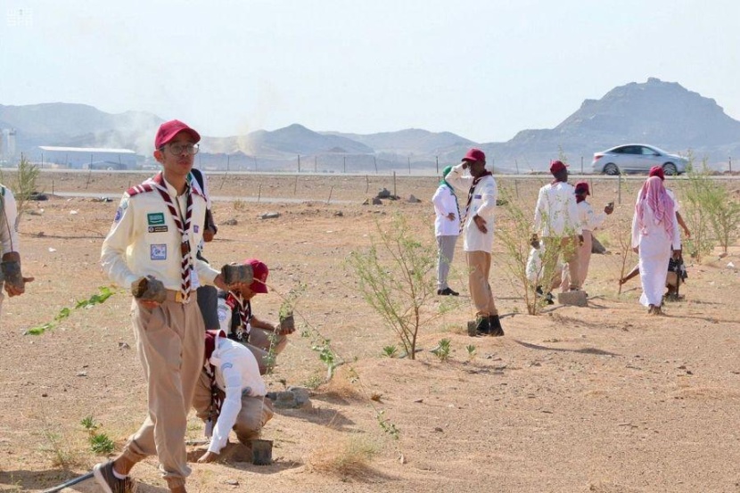 120 كشافا يغرسون 5000 شجرة في المنتزه البيئي بالجموم