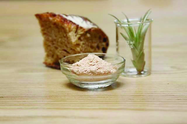 شركة تصنع لحما من ثاني أكسيد الكربون