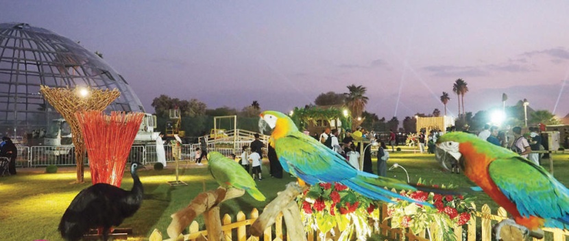 الطيور النادرة تجذب زوار «الحديقة الزجاجية» 
في «رياض سفاري»