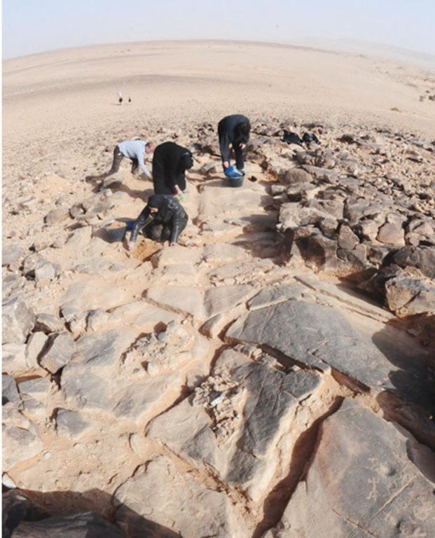 «السياحة» تستعد لإطلاق الموسم التاسع من مشروع الجزيرة العربية الخضراء