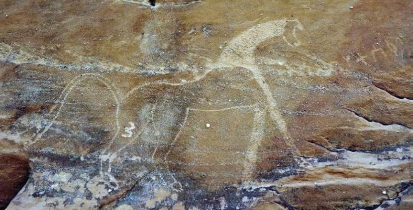 اكتشاف موقع نقوش ورسومات أثرية في حائل