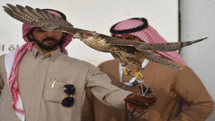 انطلاق مهرجان الصقور .. و21 مليون ريال جوائز للفائزين