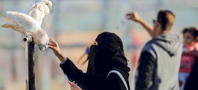 رئيس «الترفيه»: 11 مليون زائر لـ «موسم الرياض»