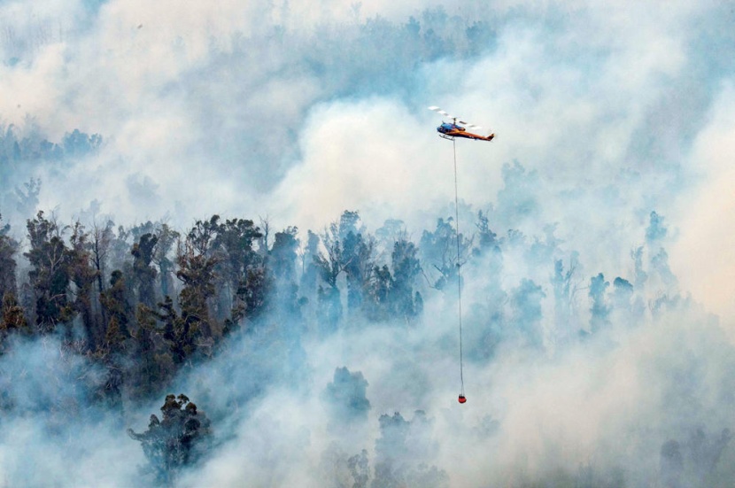 10 ملايين فدان