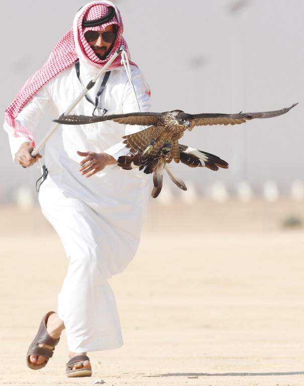 مهرجان الملك عبدالعزيز للصقور .. شعلة تراث ومكانة لا تتغير