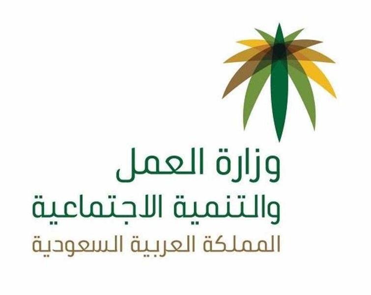 "العمل والتنمية الاجتماعية" تطلق الواجهة الجديدة للخدمات الإلكترونية لقطاع العمل