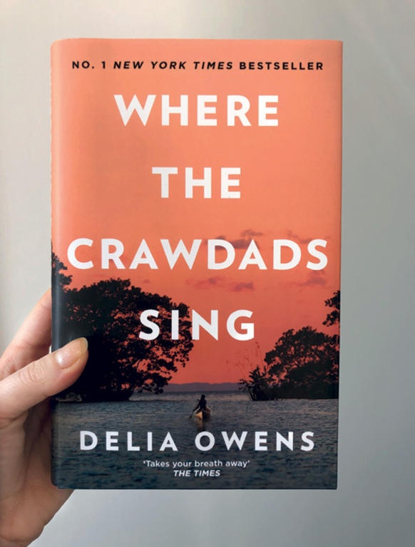 «عندما يغني لبوستر» .. الرواية الأكثر مبيعا على «أمازون»