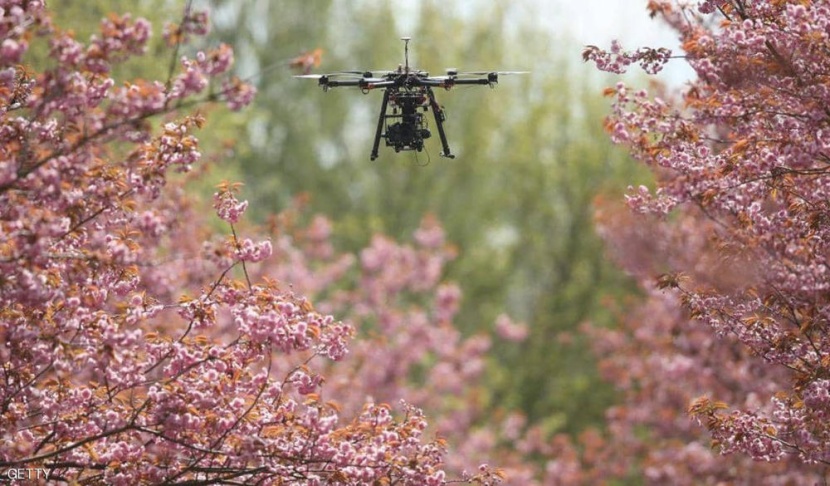 مبادرة لزراعة مليار شجرة عبر الطائرات المسيرة