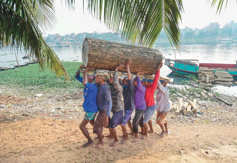 .. ولا يزال وقودا للطهي