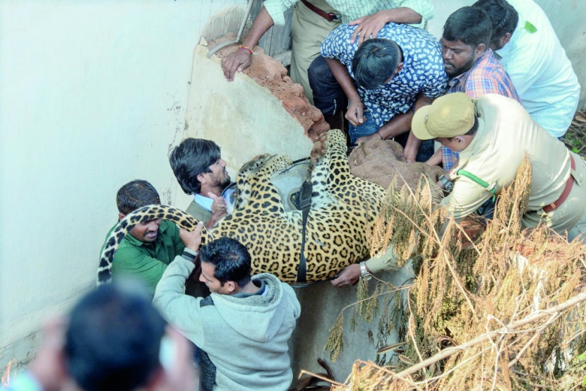بعد التخدير