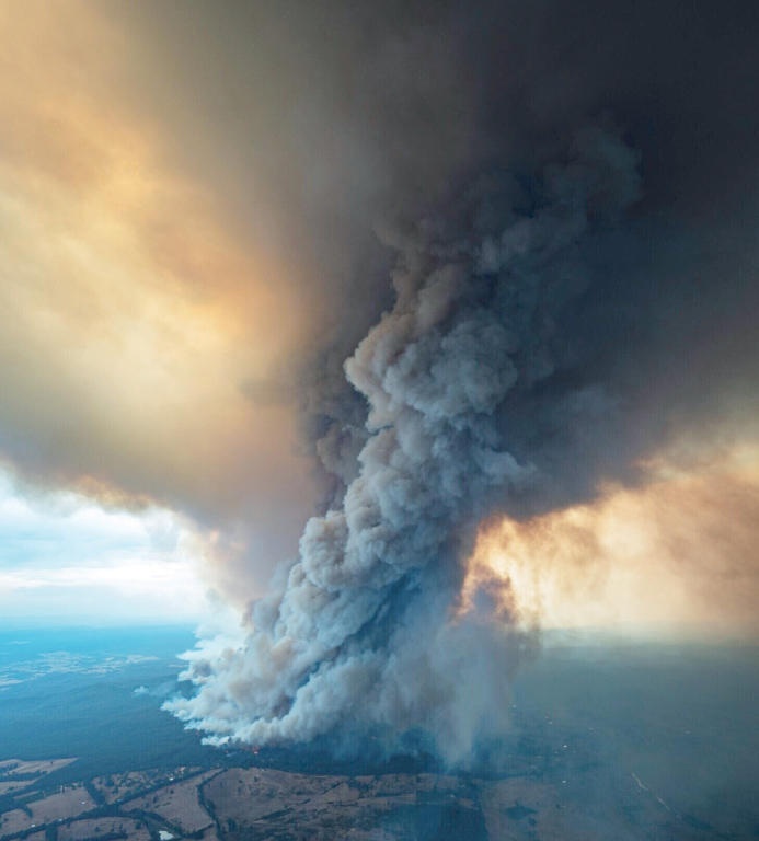 أدخنة الغابات