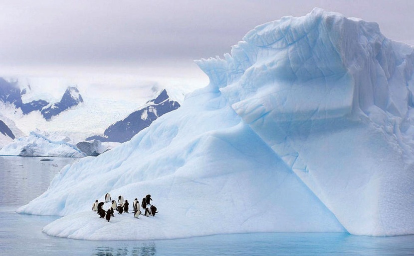 ذوبان بلا عودة للقطب الجنوبي .. والحل في غلاف دون كربون