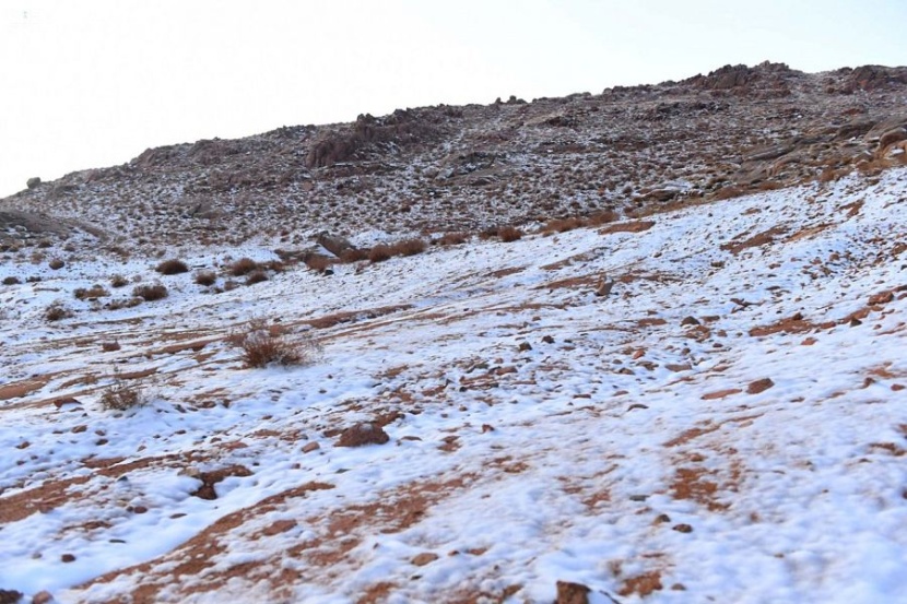 الثلوج تتساقط على قمم جبال اللوز في نيوم