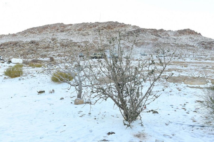 الثلوج تتساقط على قمم جبال اللوز في نيوم