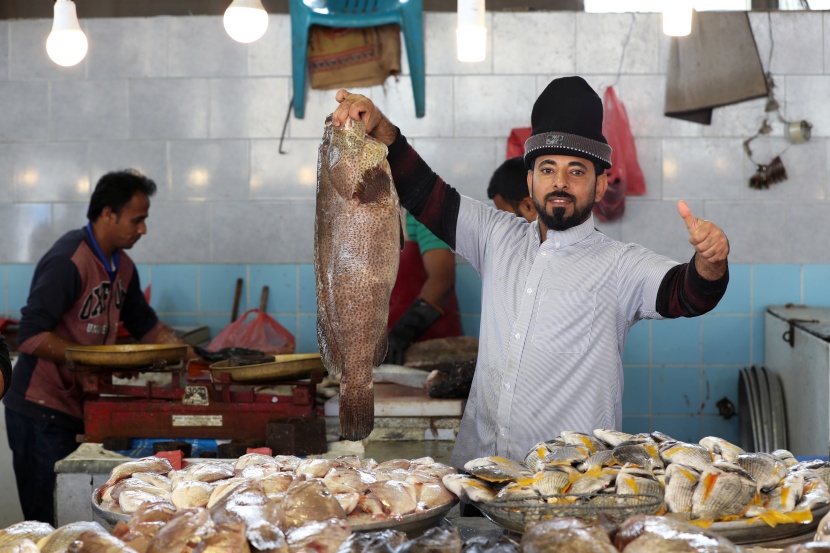 نشاط تجاري مستقر مع وفرة المواد التموينية في القطيف