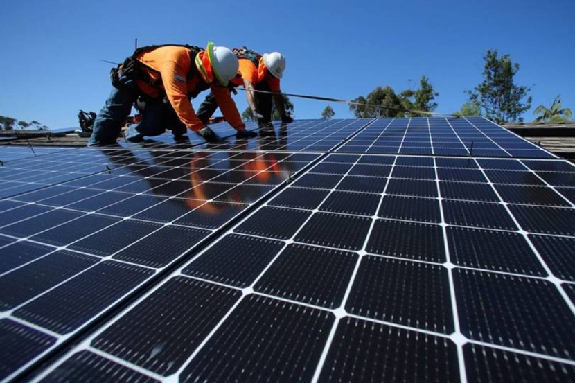 توليد الطاقة الشمسية عن طريق فاكهة استوائية