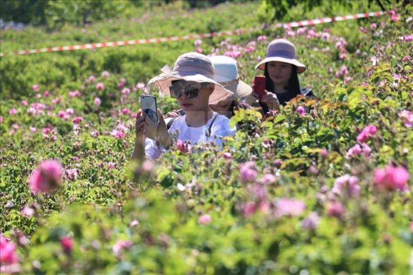 دراسة: الروائح القوية تعالج اضطرابات الذاكرة