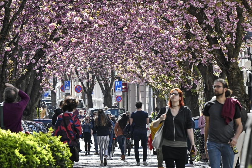    سياح يحتفلون بأزهار الكرز في اليابان وألمانيا رغم تزايد حدة انتشار فيروس كورونا 