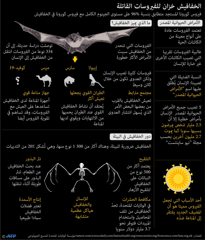  الخفافيش خزان الفيروسات القاتلة