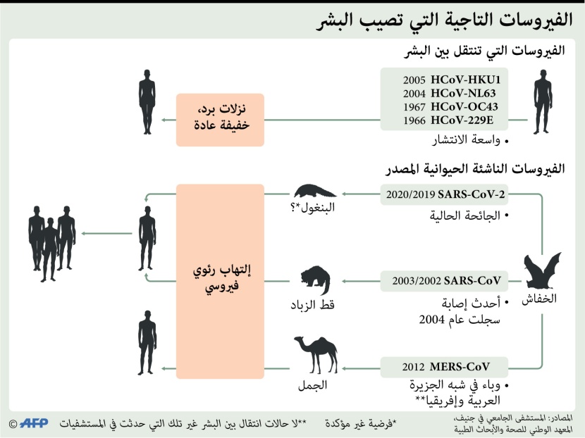 الفيروسات التاجية التي تصيب البشر
