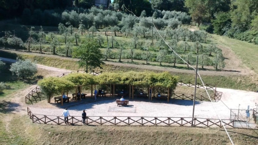وسط أشجار الزيتون.. طلاب في إيطاليا يخوضون الامتحانات بسبب كورونا