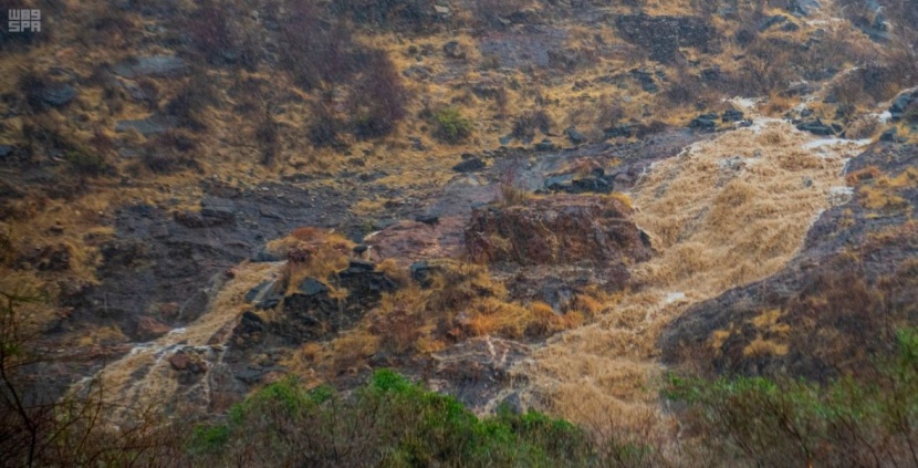 مصحوبة بزخات من البرد .. الأمطار تواصل هطولها على "عسير" 