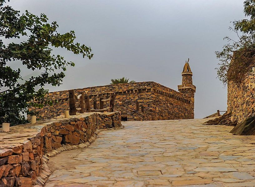 "ذي عين" الباحة تنتج سنويا أكثر من 7 أطنان من الموز البلدي