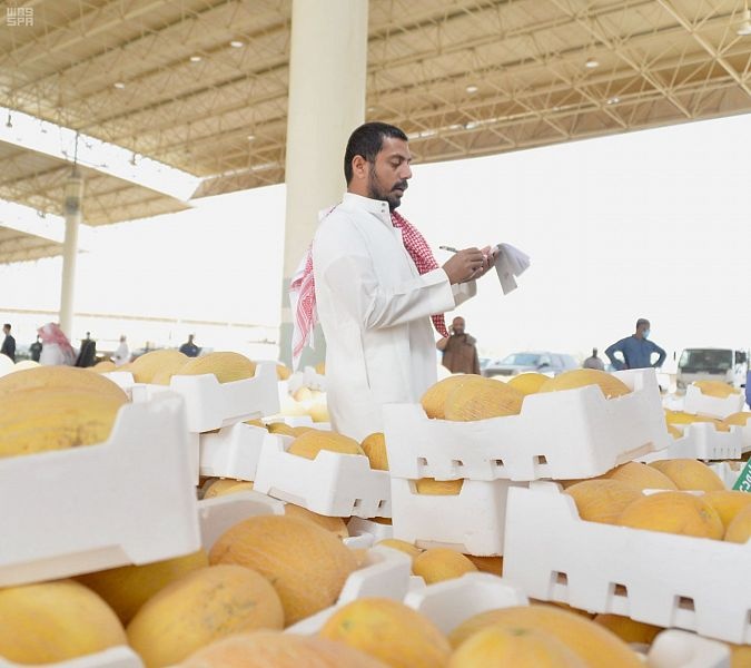 مع بداية الموسم .. 500 مزرعة في القصيم ترفد السوق المحلي بالبطيخ الأحمر