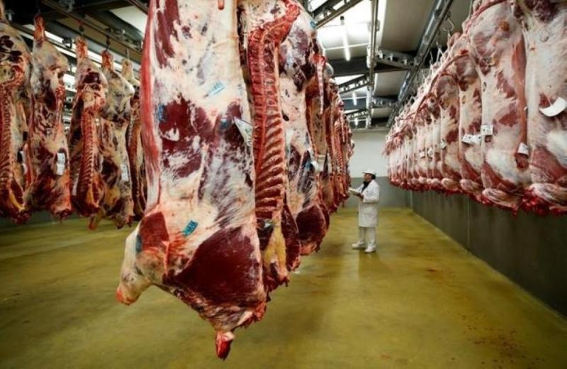 مجزر في غرب ألمانيا يسجل إصابة أكثر من ألف بين العاملين به بكورونا
