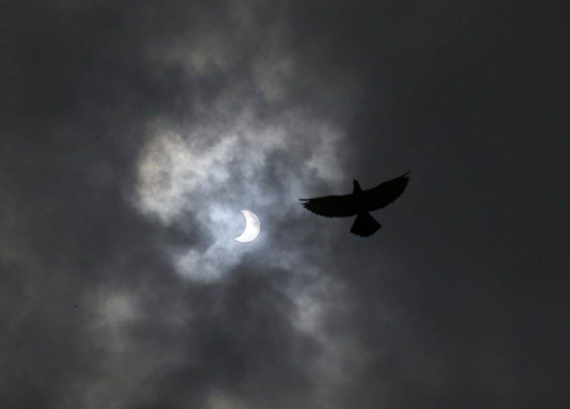 كسوف حلقي نادر للشمس في إفريقيا وآسيا