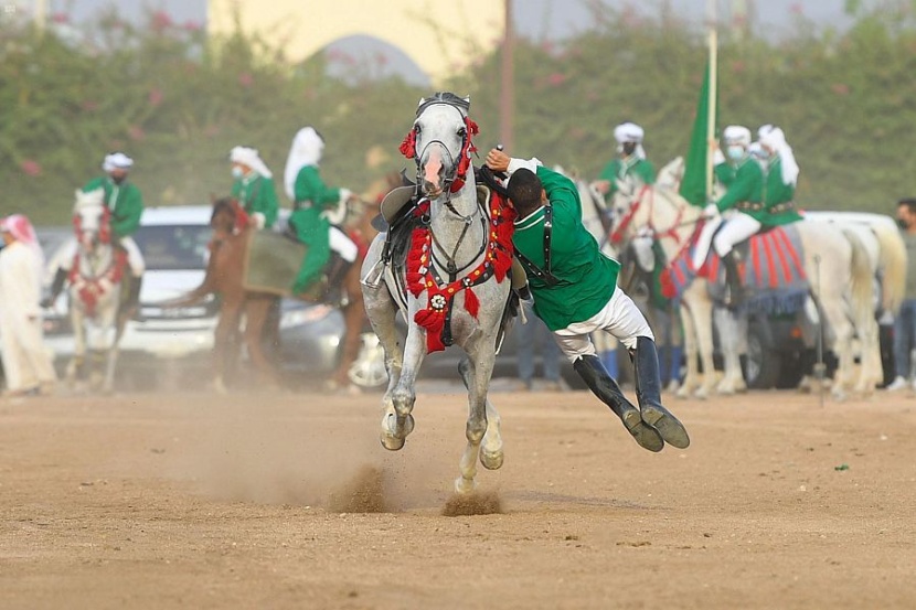  انطلاق عروض الخيل العربية .. بفعاليات صيف السعودية " تنفس "