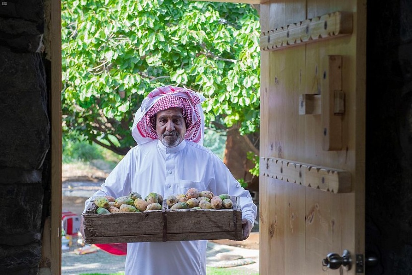 الطائف عروس المصايف .. بستان الفاكهة الموسمية