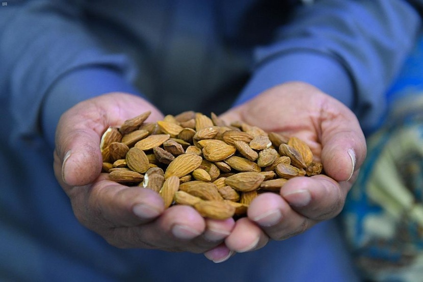 الطائف عروس المصايف .. بستان الفاكهة الموسمية