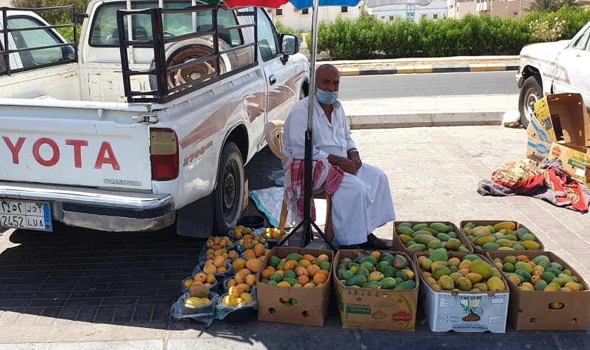 بسعر 10 ريالات لكيلو "المانجو" .. أسواق أملج تعرض منتجها الأشهر