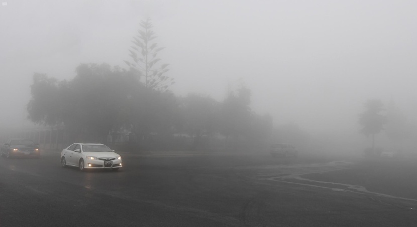 أبها البهية .. تناغم الطبيعة مع الضباب