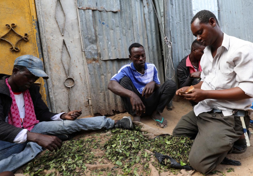 الصومال: نقص القات بسبب كورونا يفاقم المشاكل الصحية