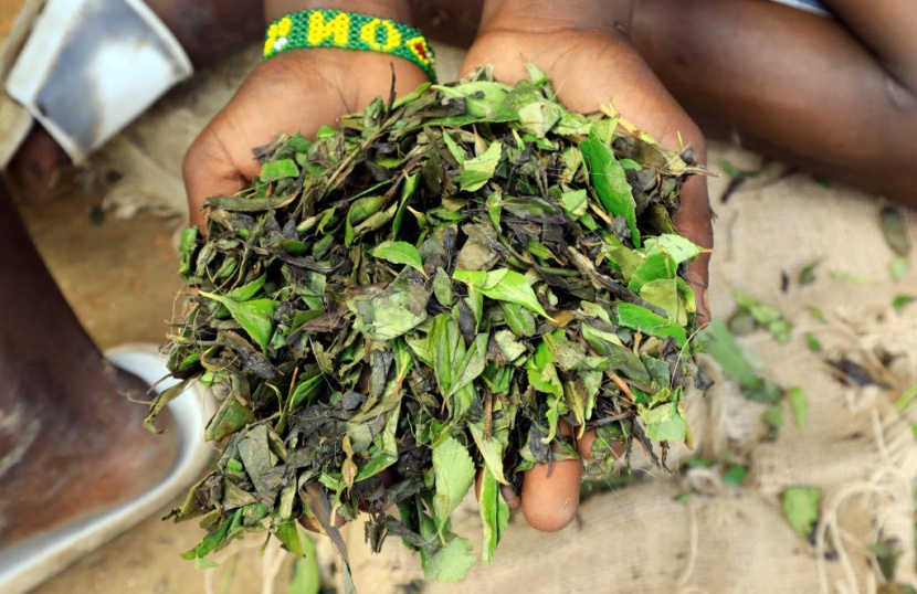 الصومال: نقص القات بسبب كورونا يفاقم المشاكل الصحية