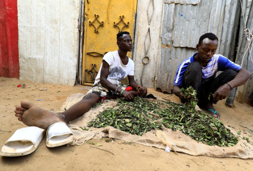 الصومال: نقص القات بسبب كورونا يفاقم المشاكل الصحية
