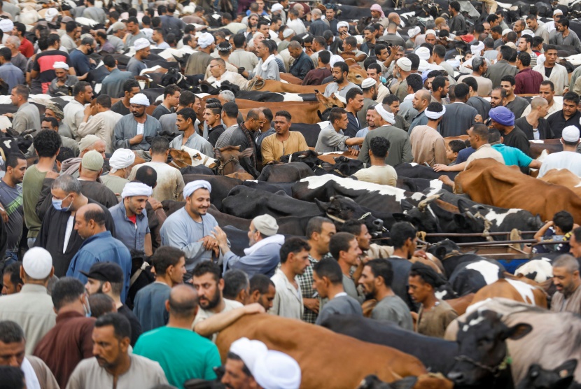 زحام شديد لسوق الماشية في مصر قبيل عيد الأضحى .. أين التباعد؟