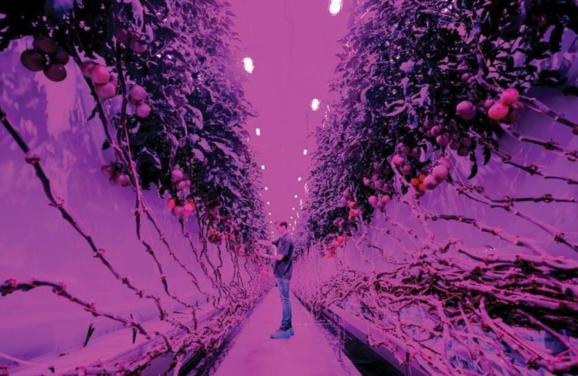 بعيدا عن الضوء