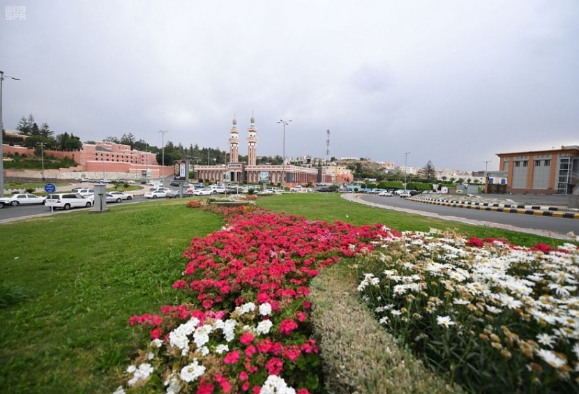   92 ألف زهرة موسمية تجمل ميادين مدينة أبها