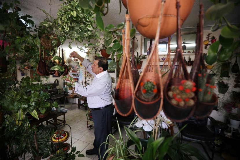 طبيب أردني يحوّل عيادته إلى حديقة مليئة بمئات النباتات