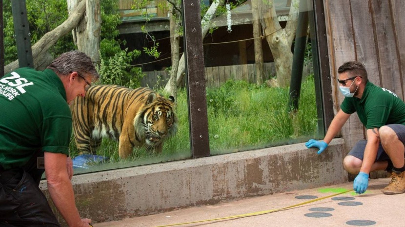 كورونا يهدد استمرارية أقدم حديقة حيوانات في العالم