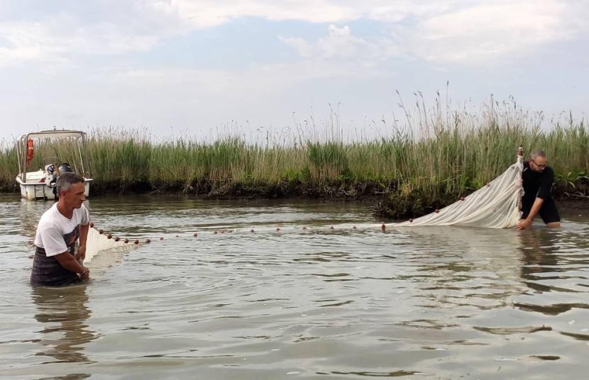 بجانب ساحة سان ماركو وجسر التنهدات .. البندقية تسعى إلى إحياء بحيرتها