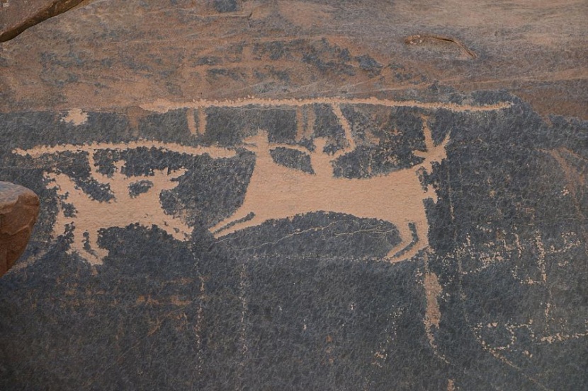 جبل أم سنمان في حائل .. رسوم ونقوش صخرية تعود بالإنسان للألف السابع قبل الميلاد