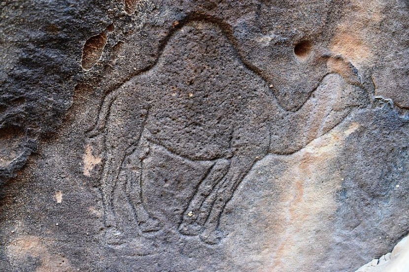 جبل أم سنمان في حائل .. رسوم ونقوش صخرية تعود بالإنسان للألف السابع قبل الميلاد