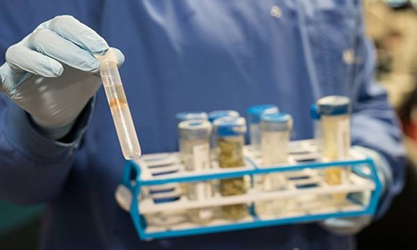 الطفيليات مهمة وتستحق الحماية وتعاطف البشر