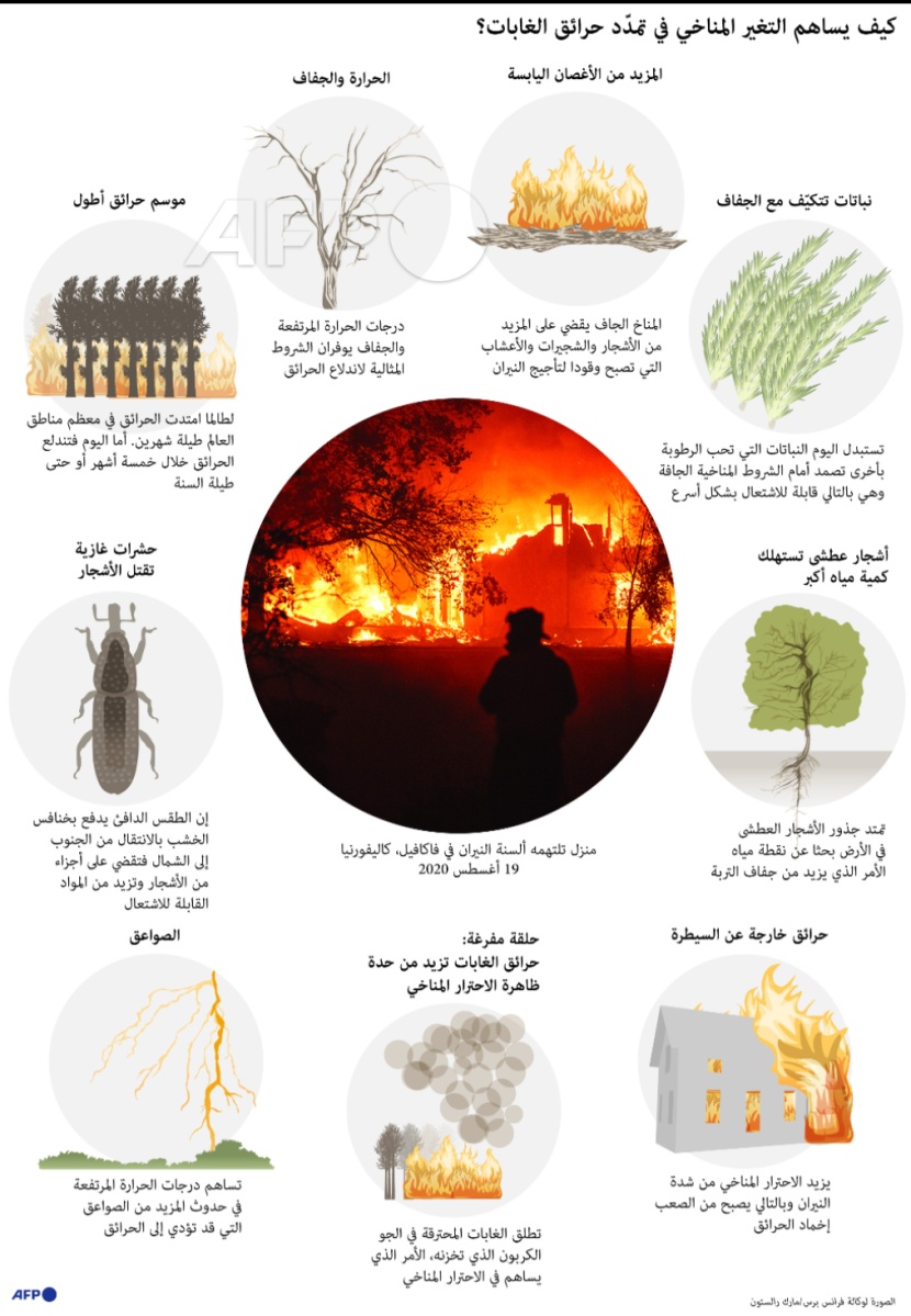  كيف يساهم التغير المناخي في تمدد حرائق الغابات؟